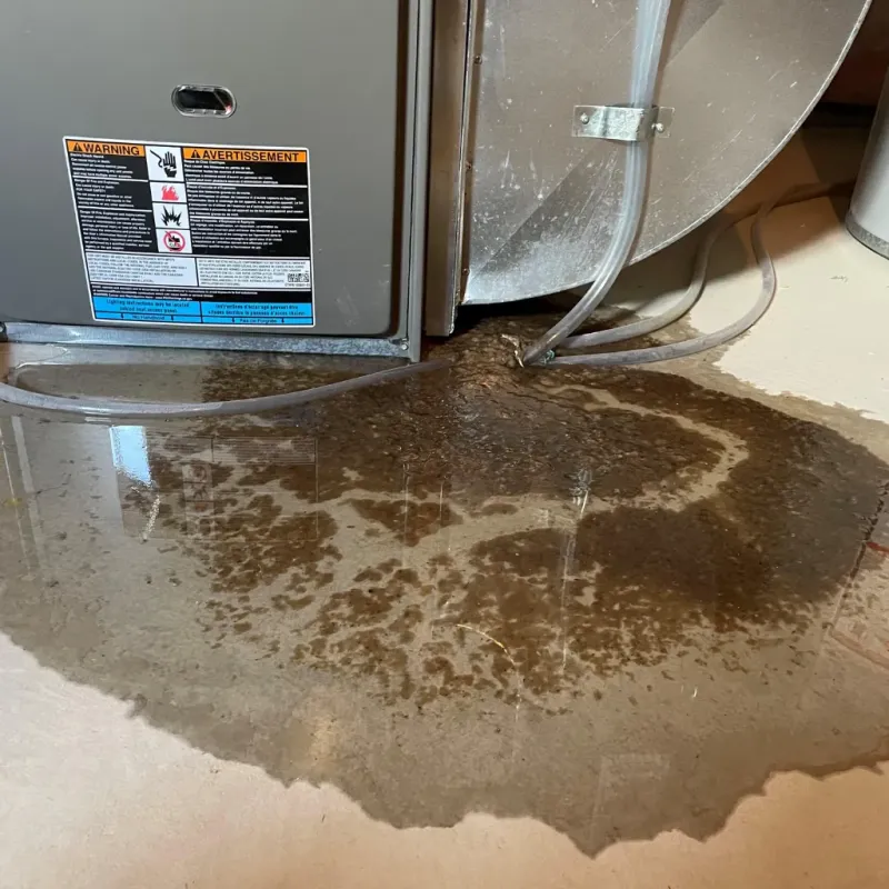 Appliance Leak Cleanup in Fort Davis, TX